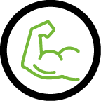 Construction musculaire
