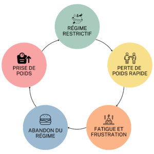 Schéma présentant le cercle viscieux de l'effet yoyo en cas de régimes trop restrictifs, schéma issu de l'article de blog sur l'effet yoyo de 1Defy Nutrition sportive Made in Bourgogne